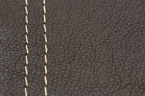 Sample of genuine leather with decorative stitching Stock Photos