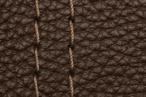 Sample of genuine leather with decorative stitching Stock Photos