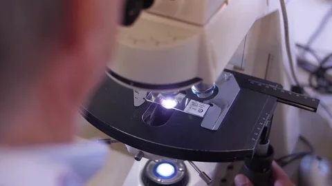 Sample in glass slide undergoes microscopic testing in lab 스톡 동영상 82744726