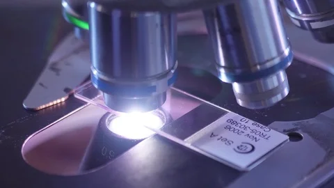 Sample in glass slide undergoes microscopic testing in lab 4k Stock Footage 82745153