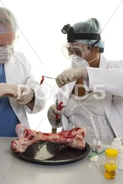 Sample for laboratory testing Stock-Fotos