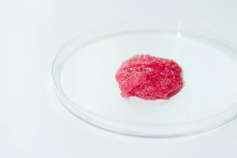 Sample of Natural Scrub with Heating Effect in Laboratory Petri Dish on white Foto stock