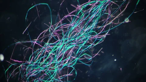 A sample of natural silk under a microscope. 100x magnification. Thickness 20-30 Stock Footage 268483584