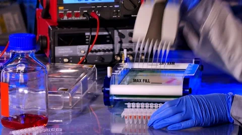 Sample preparation for DNA electrophoresis. Adding samples in Gel Electrophor Stock Footage 65238768