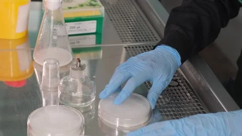 Sample Preparation for Microbiological Analysis Stock Footage 306319292