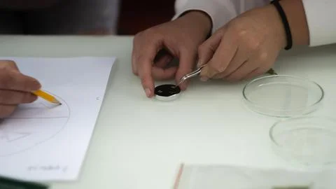 Sample preparation for the microscope, experiment in the laboratory Stock Photos