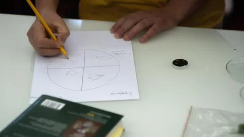 Sample preparation for the microscope, experiment in the laboratory Stock Photos