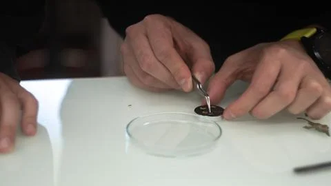 Sample preparation for the microscope, experiment in the laboratory Stock Photos