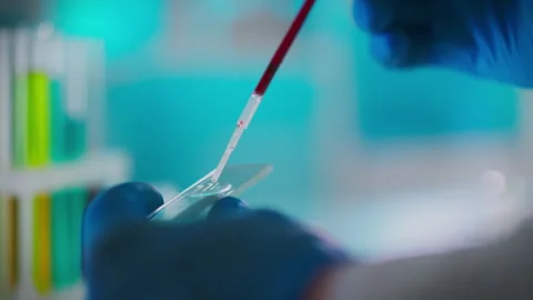 Sample. A scientific research expert in white coat carefully performs blood Stock Footage 261449523