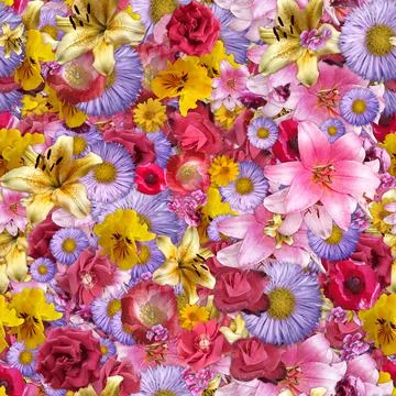 Sample seamless texture from a variety of flowers and inflorescences Stock Illustration