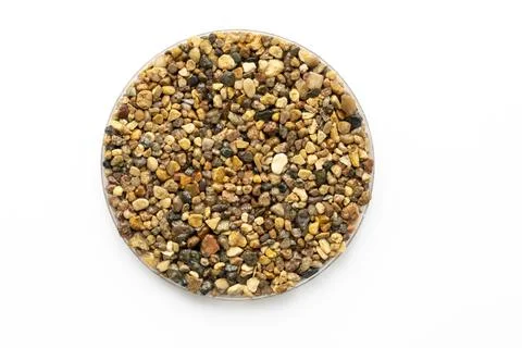 Sample of stone chips, pavements for footpaths and sidewalks Stock Photos