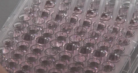 Sample testing, coronavirus Stock Footage 126706826