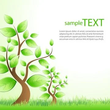Sample text template with tree Stock Illustration