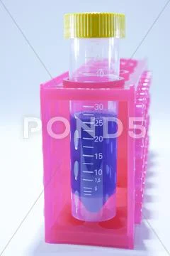 Sample tube in a rack Stock Photos