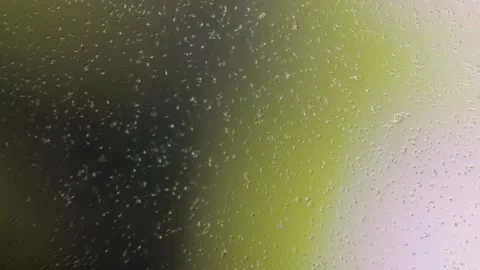 Sample under microscope of sperm Stock Footage 232507245