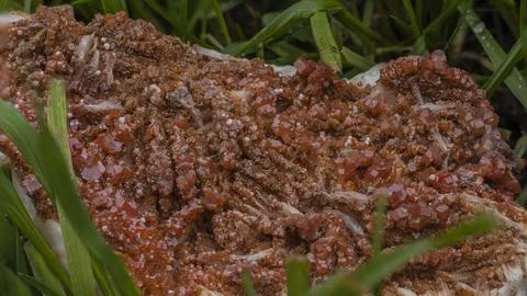 Sample of vanadinite in the grass of the garden Stock Photos