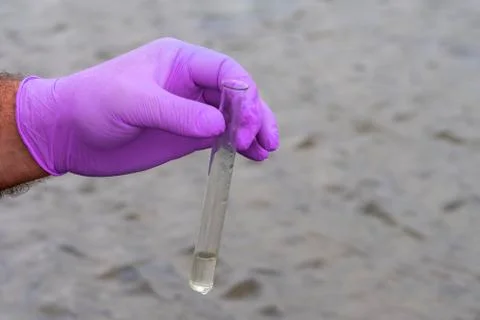 Sample water from the river for analysis. Hand in glove holding a test tube.e Stock Photos