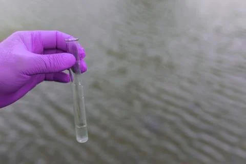 Sample water from the river for analysis. Hand in glove holding a test tube.e Stock Photos