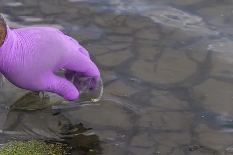 Sample water from the river for analysis. Hand in glove holding a test tube.e Stock Photos