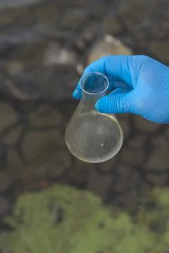 Sample water from the river for analysis. Hand in glove holding a test tube.e Stock Photos