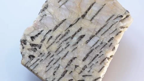 A sample of written granite Stock Footage 281328457