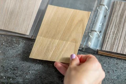 Samples of chipboard. A close-up woman's hand takes out a chipboard sample from Stock Photos