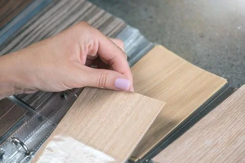 Samples of chipboard. A close-up woman's hand takes out a chipboard sample from Stock Photos