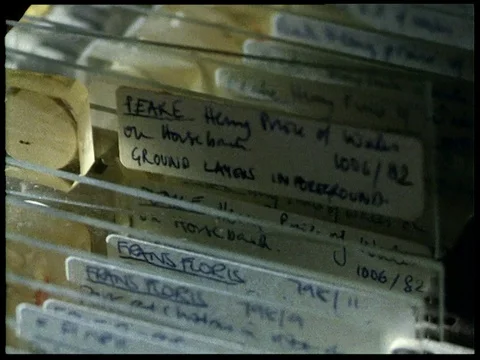 Samples of chipped paint, UK 1992 Stock Footage 136687364