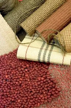 Samples of color of a carpet Stock Photos