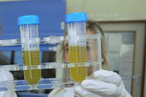 Samples in a hygiene laboratory Stock Photos