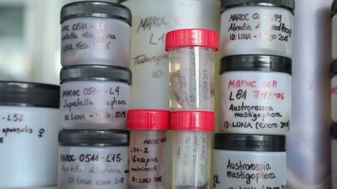 Samples in the lab Stock-Footage 145362583