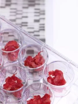Samples of meat being DNA tested in food standards laboratory 스톡 일러스트