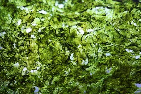 Samples of multi-colored carpets on the shelves Stock Photos