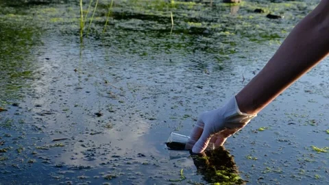 Samples of river water. The hand holds a chemical flask with a liquid Stock Footage 158234156