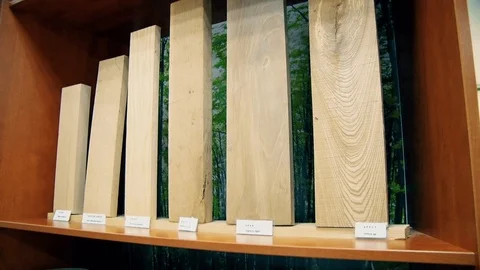 Samples of Wood from the Mountain Vídeo Stock 93343067