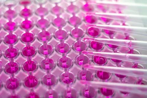Sampling in a medical laboratory close-up Stock Photos