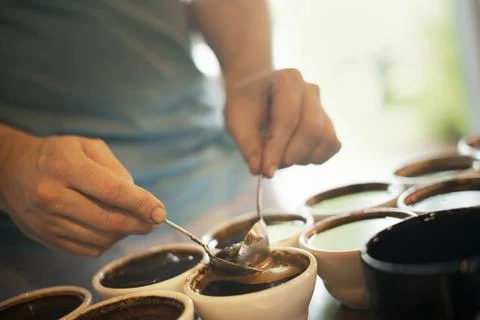 The sampling procedure in a coffee processing shed, where staff make coffee i Stock Photos