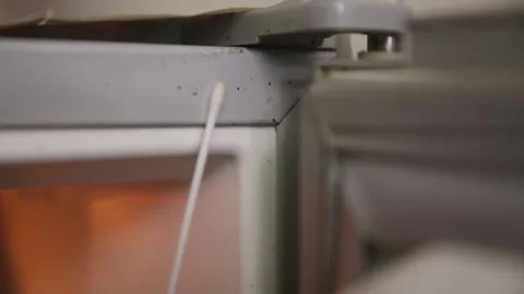 Sampling of sanitary dead corner of bacteria breeding in freezers and refrig Stock Footage 202260274