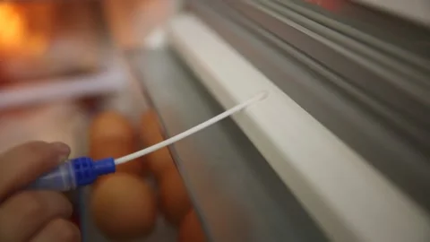 Sampling of sanitary dead corner of bacteria breeding in freezers and refrig Stock Footage 202260323