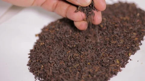 Sampling Tea Powder Video stock 124389170