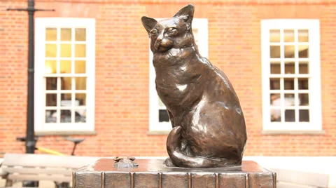 Samuel Johnson's cat Stock Footage 38462512