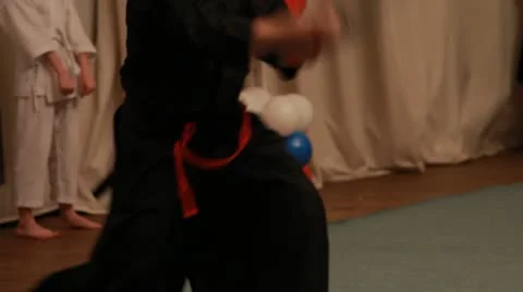 Samurai 2 Stock-Footage 22025523