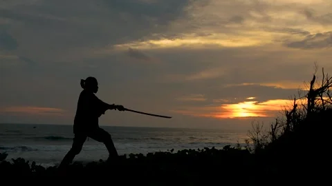 Samurai practicing sword fighting at sunset Stock Footage 314981333