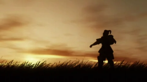 Samurai at Sunset  (HD720) Видео 291257