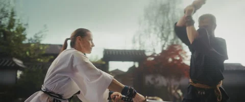 Samurai Sword Fight Scene Cinema Robot Footage Stock Footage 321011123
