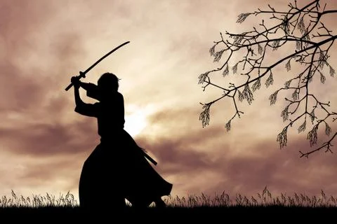 Samurai with sword at sunset Stock Illustration