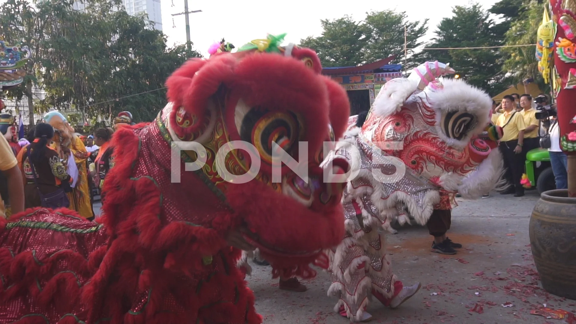 Chinese Lion Dance Stock Footage Royalty Free Stock Videos Pond5