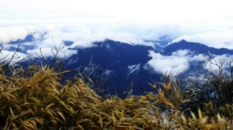 San 10 Stock Footage 719548