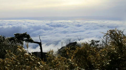 San 11 Stock Footage 719560