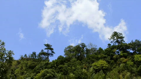 San 16 Stock Footage 719593